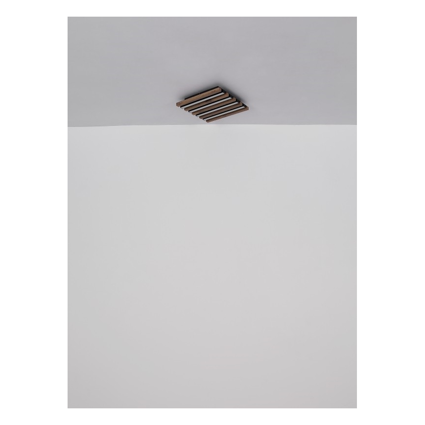 Globo - LED Stropní svítidlo LED/30W/230V 3000K 45x45 cm