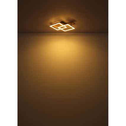 Globo - LED Stropní svítidlo LED/16W/230V 3000K 33x44 cm