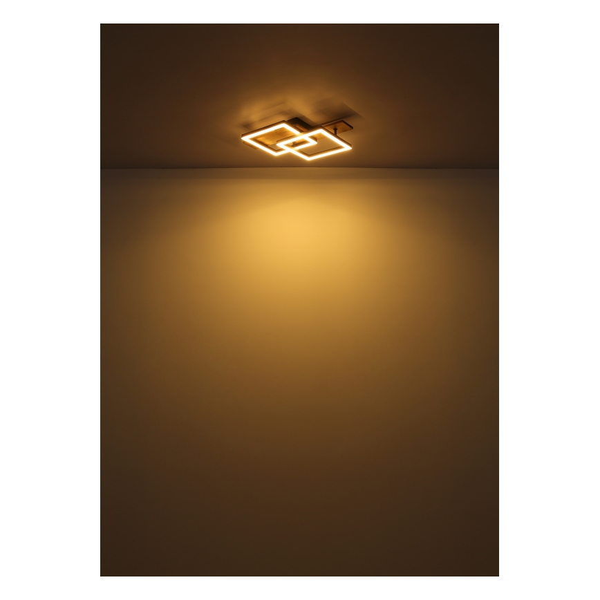 Globo - LED Stropní svítidlo LED/16W/230V 3000K 33x44 cm