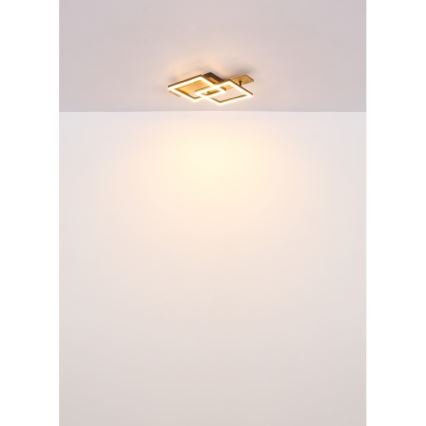 Globo - LED Stropní svítidlo LED/16W/230V 3000K 33x44 cm