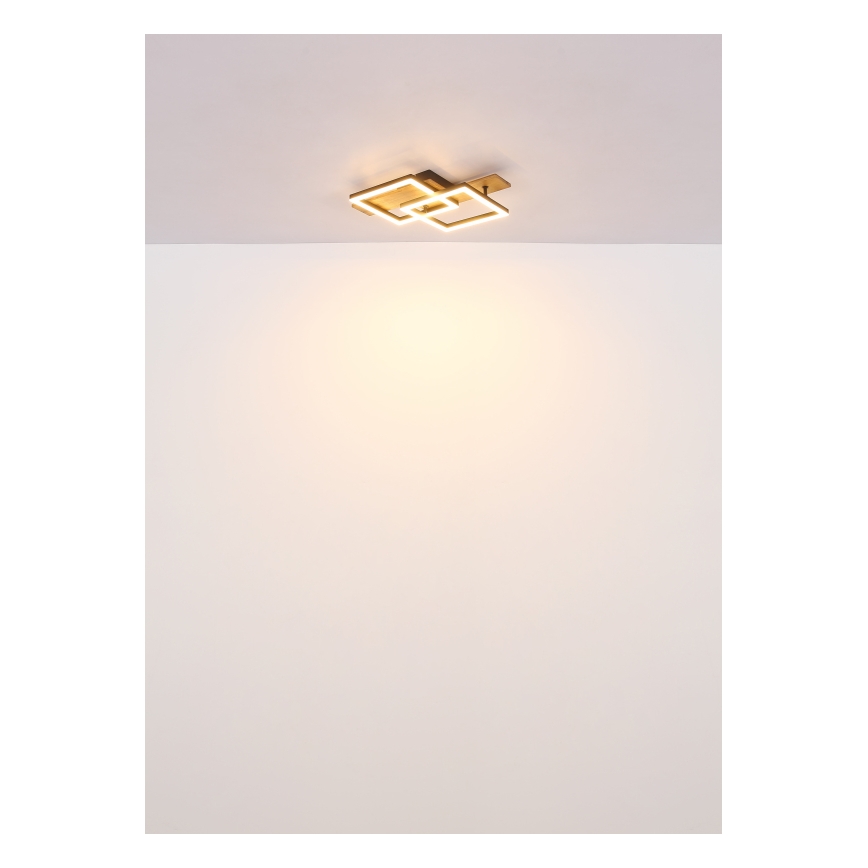 Globo - LED Stropní svítidlo LED/16W/230V 3000K 33x44 cm