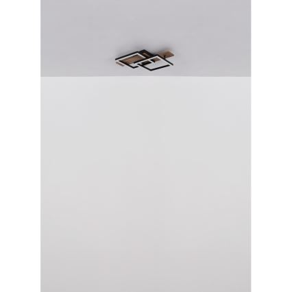 Globo - LED Stropní svítidlo LED/16W/230V 3000K 33x44 cm
