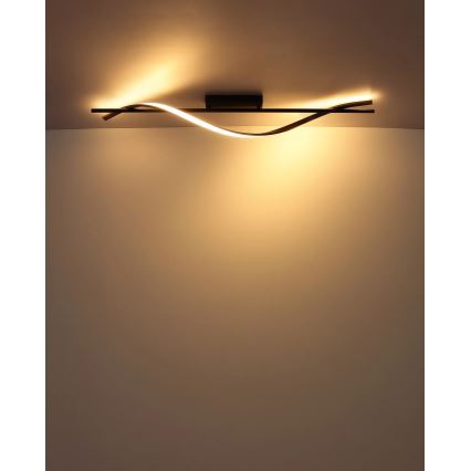 Globo - LED Stropní svítidlo LED/20,5W/230V 3000K