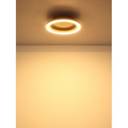 Globo - LED Stropní svítidlo LED/12W/230V 3000K pr. 20,5 cm