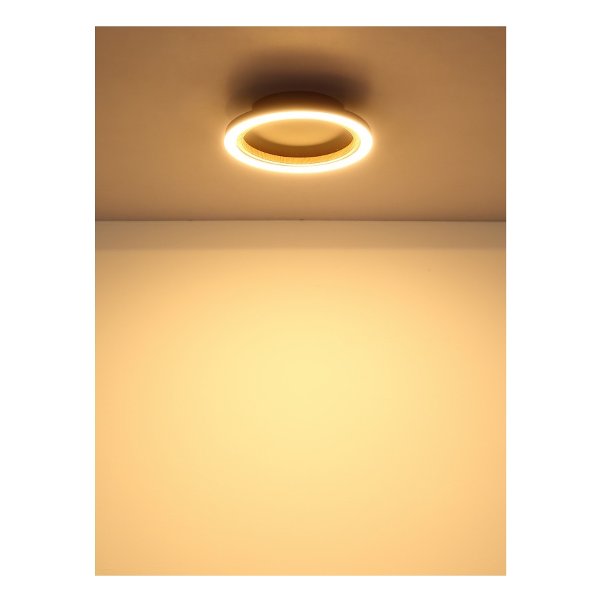 Globo - LED Stropní svítidlo LED/12W/230V 3000K pr. 20,5 cm
