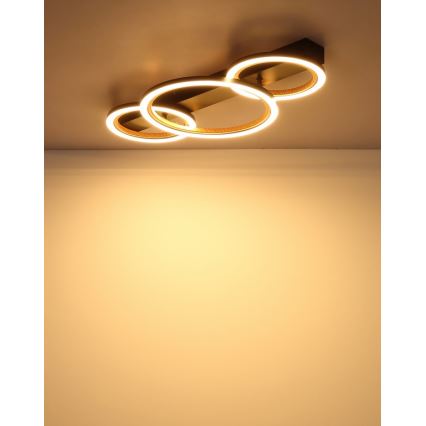 Globo - LED Stropní svítidlo LED/40W/230V 3000K 58x30 cm