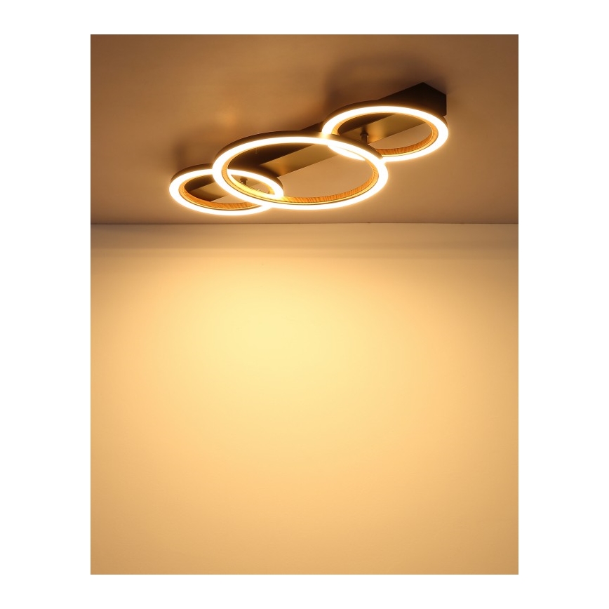 Globo - LED Stropní svítidlo LED/40W/230V 3000K 58x30 cm