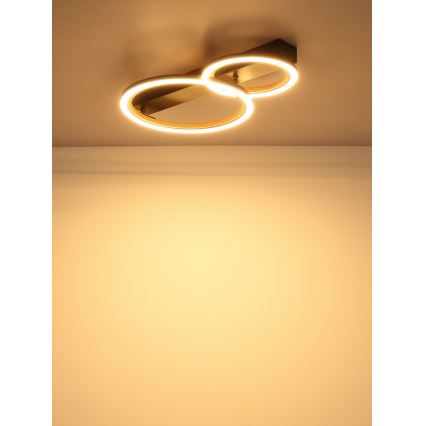 Globo - LED Stropní svítidlo LED/30W/230V 3000K 44x30 cm