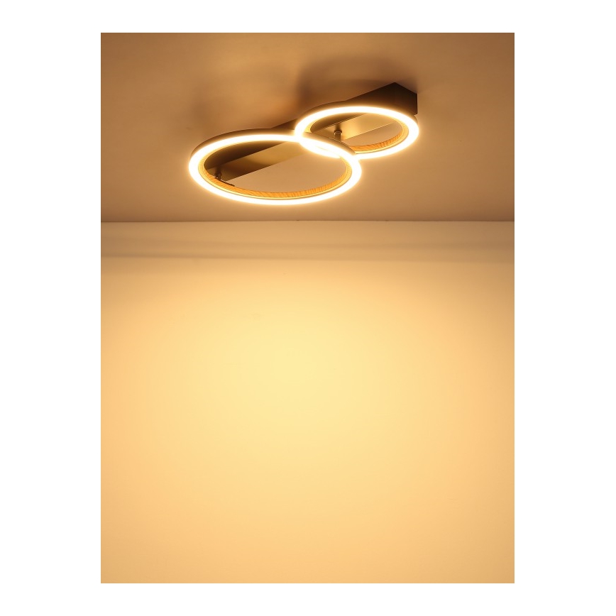 Globo - LED Stropní svítidlo LED/30W/230V 3000K 44x30 cm