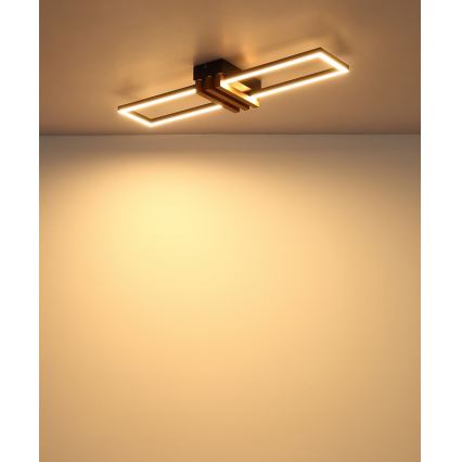 Globo - LED Stropní svítidlo LED/20W/230V 3000K 60x16,8 cm