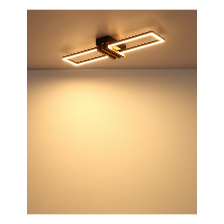 Globo - LED Stropní svítidlo LED/20W/230V 3000K 60x16,8 cm