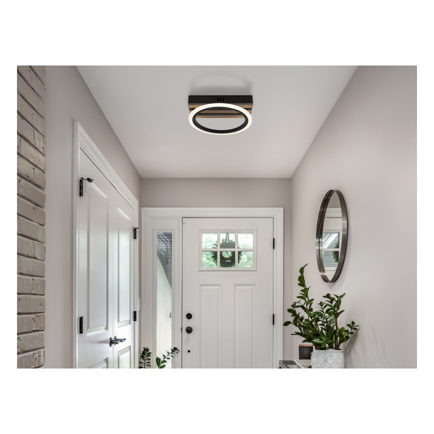 Globo - LED Stropní svítidlo LED/10W/230V 3000/4200/6000K