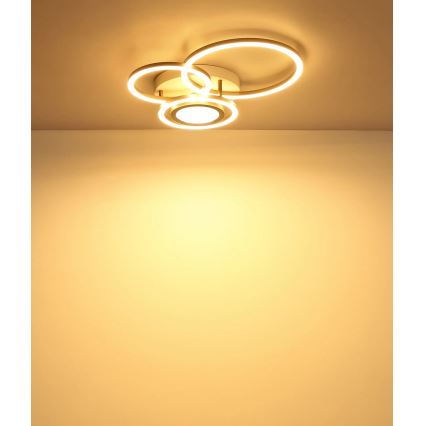Globo - LED Stropní svítidlo LED/40W/230V 3000K 49x39 cm