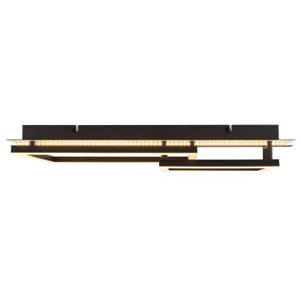 Globo - LED Stropní svítidlo LED/30W/230V 3000K 33x56 cm