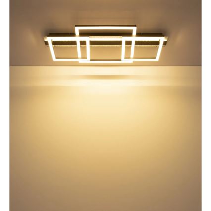 Globo - LED Stropní svítidlo LED/40W/230V 3000K 33x70 cm