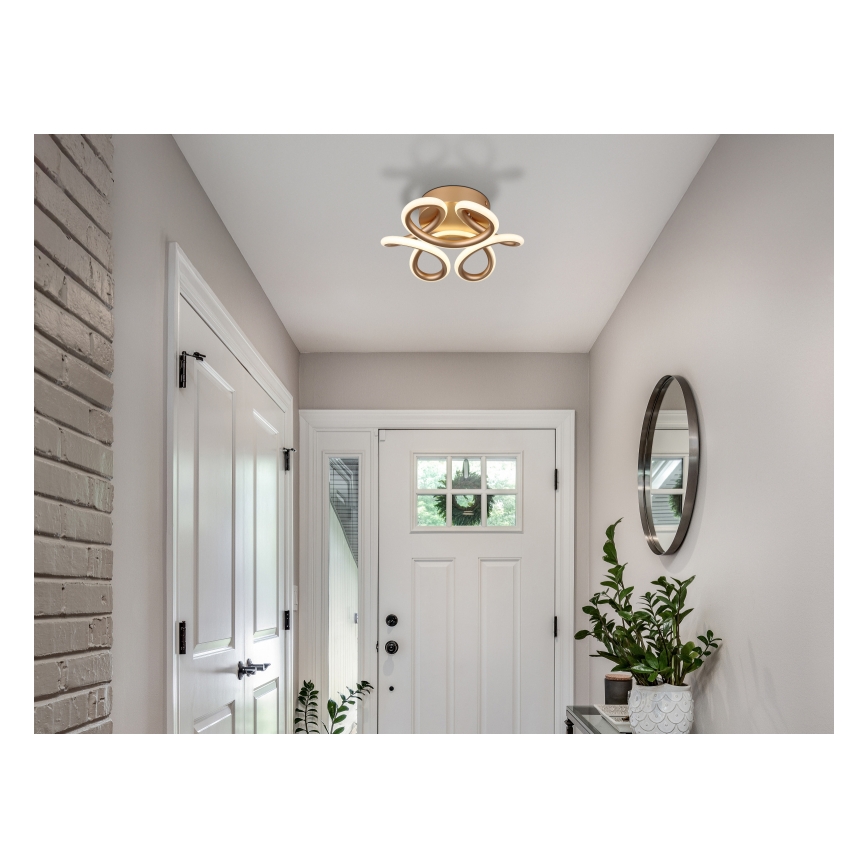 Globo - LED Stropní svítidlo LED/24W/230V 2700/4000/6000K pr. 26 cm zlatá