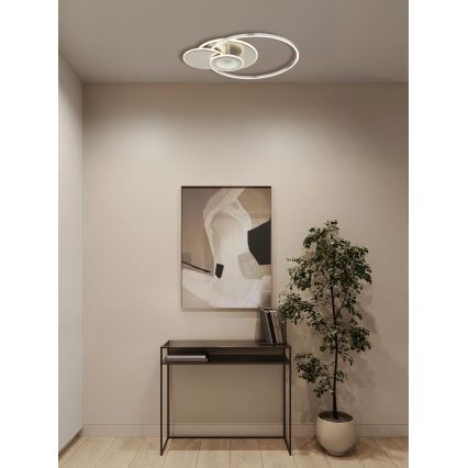 Globo - LED Stmívatelné stropní svítidlo LED/24W/230V 2700-6500K stříbrná + dálkové ovládání