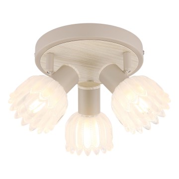 Globo - Bodové svítidlo 3xE14/40W/230V