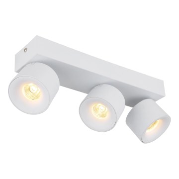 Globo - LED Bodové svítidlo 3xLED/6W/230V bílá