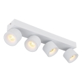 Globo - LED Bodové svítidlo 4xLED/6W/230V bílá