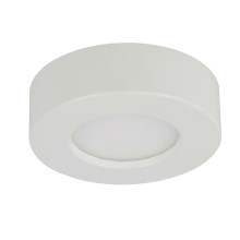 Globo - LED Koupelnové stropní svítidlo 1xLED/6W/230V
