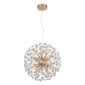 Globo - LED Lustr na lanku 8xG9/3,5W/230V pr. 40 cm zlatá