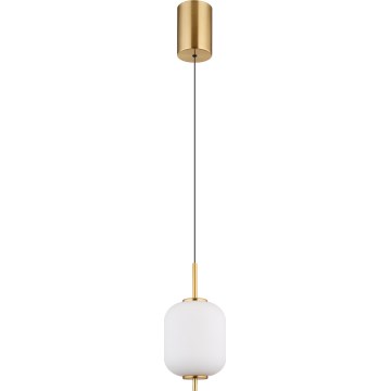 Globo - LED Lustr na lanku LED/7W/230V