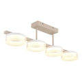 Globo - LED Přisazený lustr LED/24W/230V 3000K