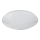 Globo - LED RGB Stmívatelné stropní svítidlo LED/24W/230V + LED/8W 2700-6500K pr. 41 cm + dálkové ovládání