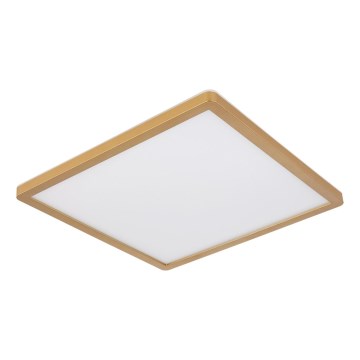 Globo - LED Stmívatelné koupelnové stropní svítidlo LED/24W/230V 3000K IP44 42x42 cm mosaz