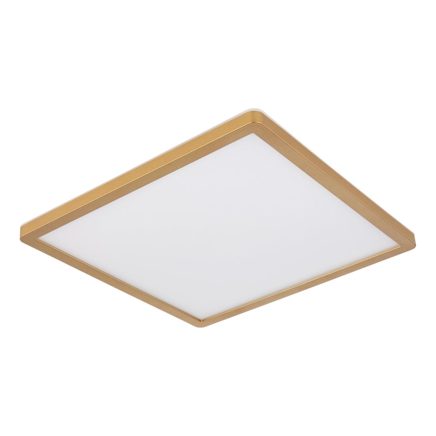 Globo - LED Stmívatelné koupelnové stropní svítidlo LED/24W/230V 3000K IP44 42x42 cm mosaz