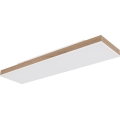 Globo - LED Stmívatelné stropní svítidlo LED/24W/230V 2700-6500K 20x80 cm + dálkové ovládání