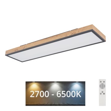 Globo - LED Stmívatelné stropní svítidlo LED/24W/230V 2700-6500K + dálkové ovládání