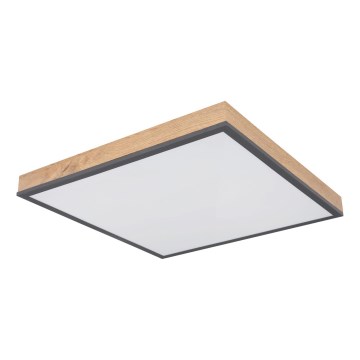 Globo - LED Stmívatelné stropní svítidlo LED/24W/230V 3000-6500K 45x45 cm
