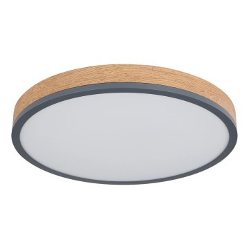 Globo - LED Stmívatelné stropní svítidlo LED/24W/230V 3000-6500K pr. 45 cm