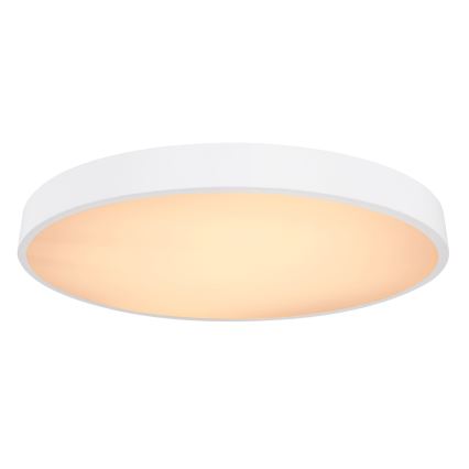 Globo - LED Stmívatelné stropní svítidlo LED/48W/230V + dálkové ovládání