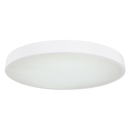 Globo - LED Stmívatelné stropní svítidlo LED/48W/230V + dálkové ovládání