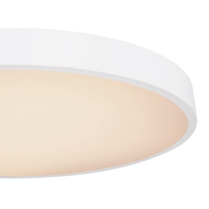 Globo - LED Stmívatelné stropní svítidlo LED/48W/230V + dálkové ovládání