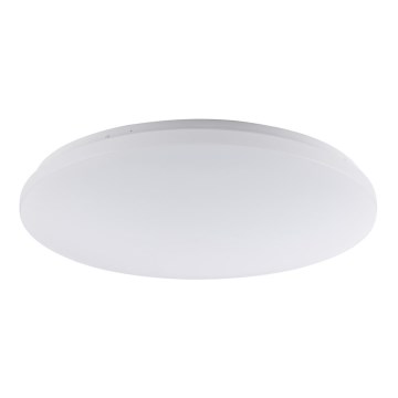 Globo - LED Stropní svítidlo 1xLED/42W/230V
