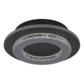 Globo - LED Stropní svítidlo LED/12W/230V 3000/4000/6500K pr. 20 cm antracit