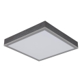 Globo - LED Stropní svítidlo LED/12W/230V 3000K 30x30 cm