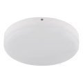 Globo - LED Stropní svítidlo LED/12W/230V 4000K pr. 22 cm bílá