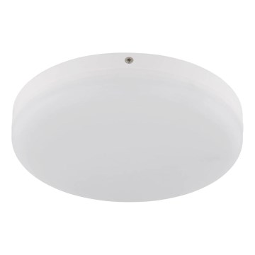 Globo - LED Stropní svítidlo LED/12W/230V 4000K pr. 22 cm bílá