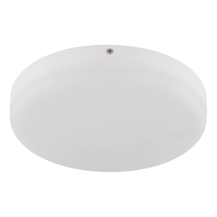Globo - LED Stropní svítidlo LED/12W/230V 4000K pr. 22 cm bílá
