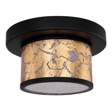 Globo - LED Stropní svítidlo LED/12W/230V