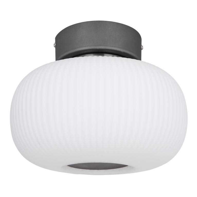 Globo - LED Stropní svítidlo LED/12W/230V