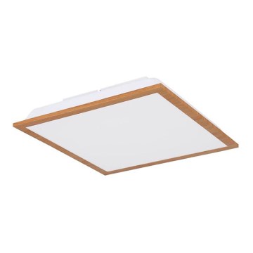 Globo - LED Stropní svítidlo LED/12W/230V