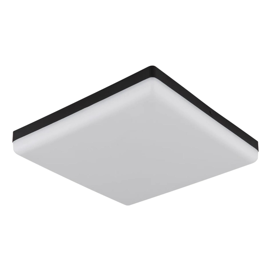 Globo - LED Stropní svítidlo LED/18W/230V 4000K 30x30 cm černá