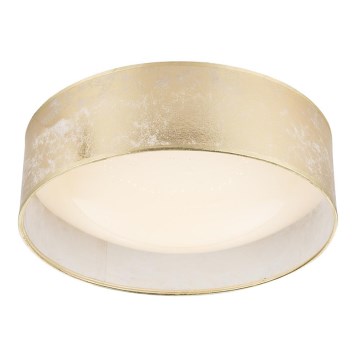Globo - LED Stropní svítidlo LED/18W/230V