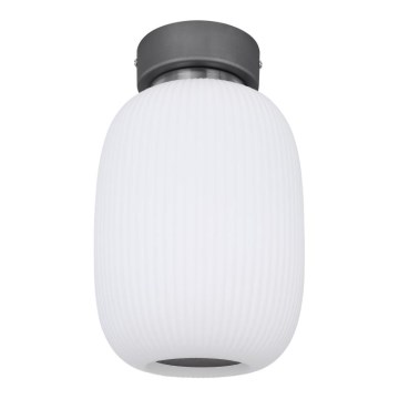 Globo - LED Stropní svítidlo LED/21W/230V